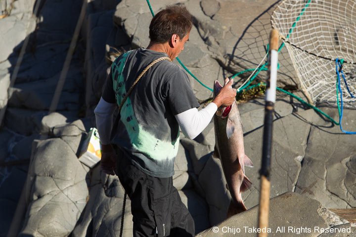 20121005-salmon-374