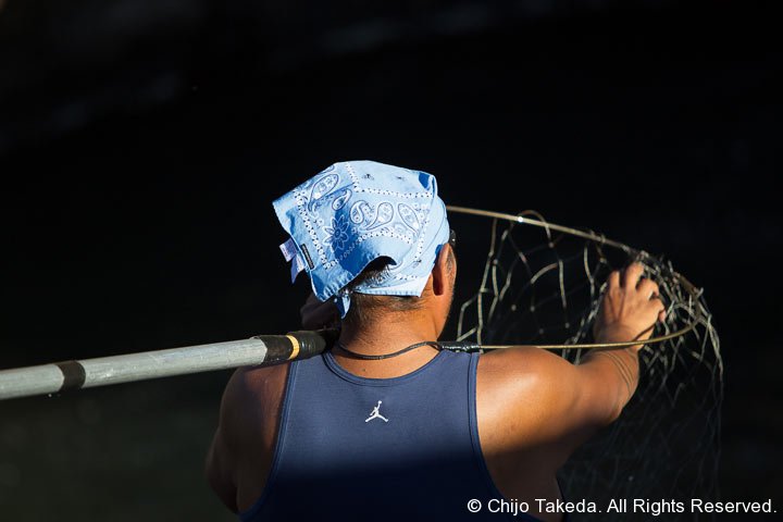 20121005-salmon-534