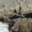 20121005-salmon-332