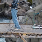 20121005-salmon-797