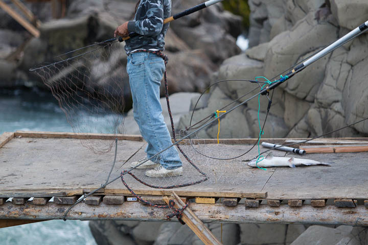 Yakima Nation Indian dip net salmon fisherman at Lyle Falls on Klickitat River, Washington